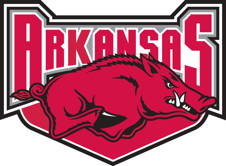Arkansas Razorbacks 2001-2008 Alternate Logo DIY iron on transfer (heat transfer)